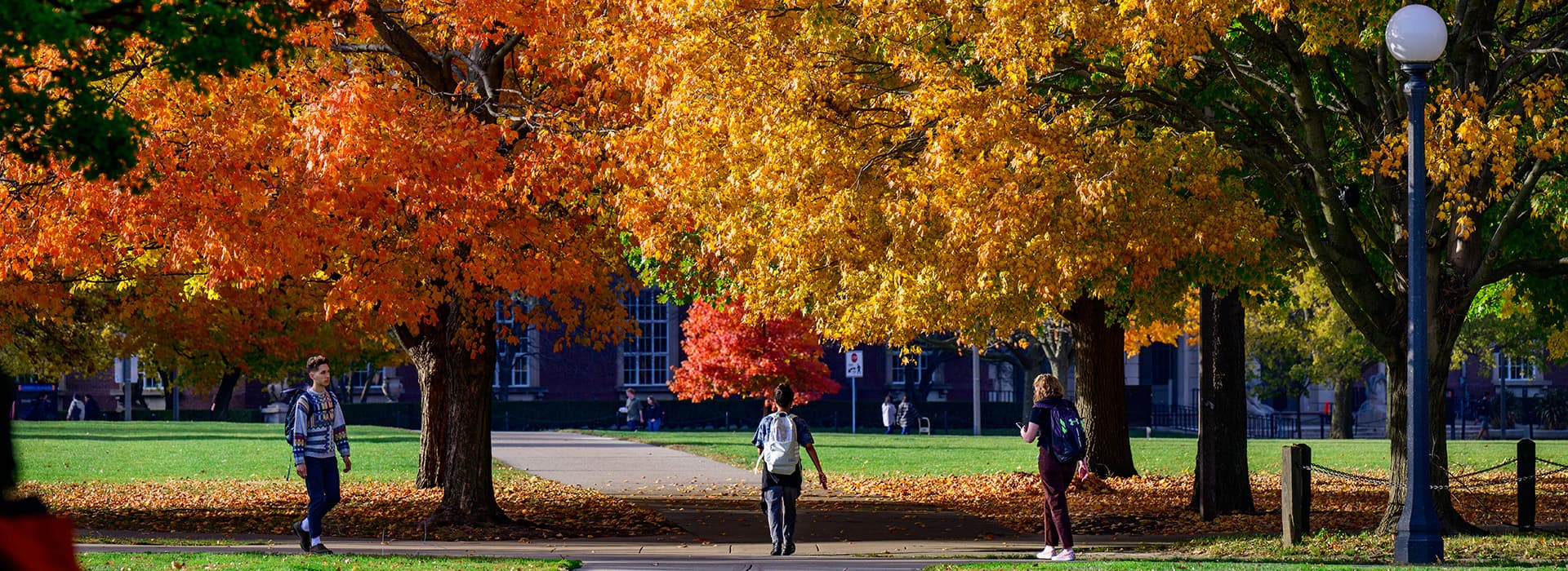 Fall on campus.
