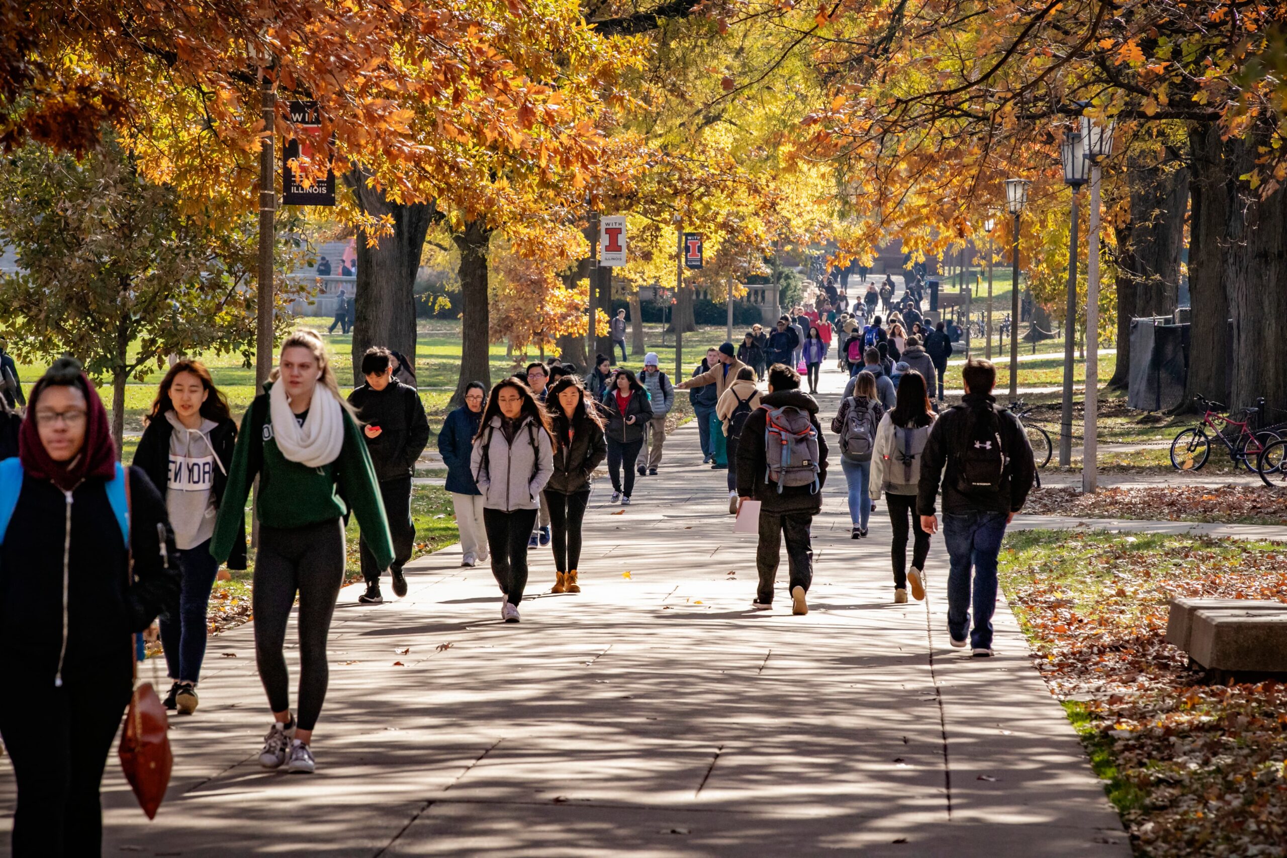 Students walking on campus on a fall day.