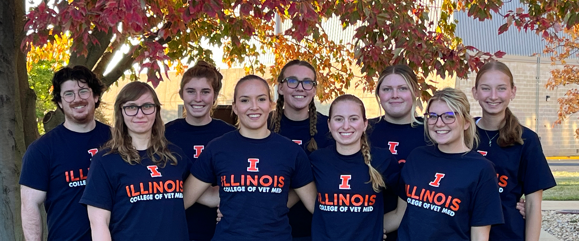 Students dressed in University of Illinois shirts standing together near a tree on campus.