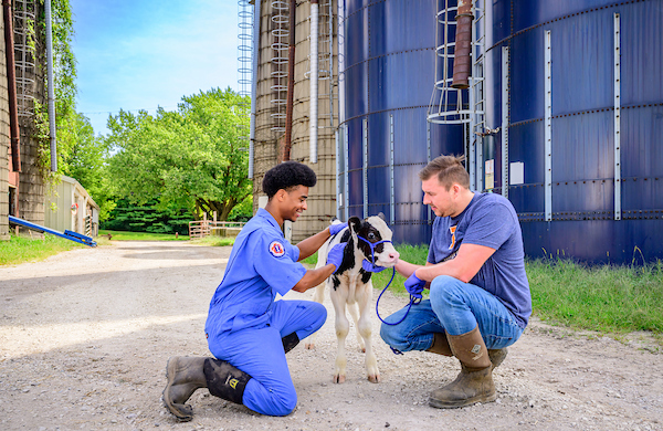Student on dairy farm
