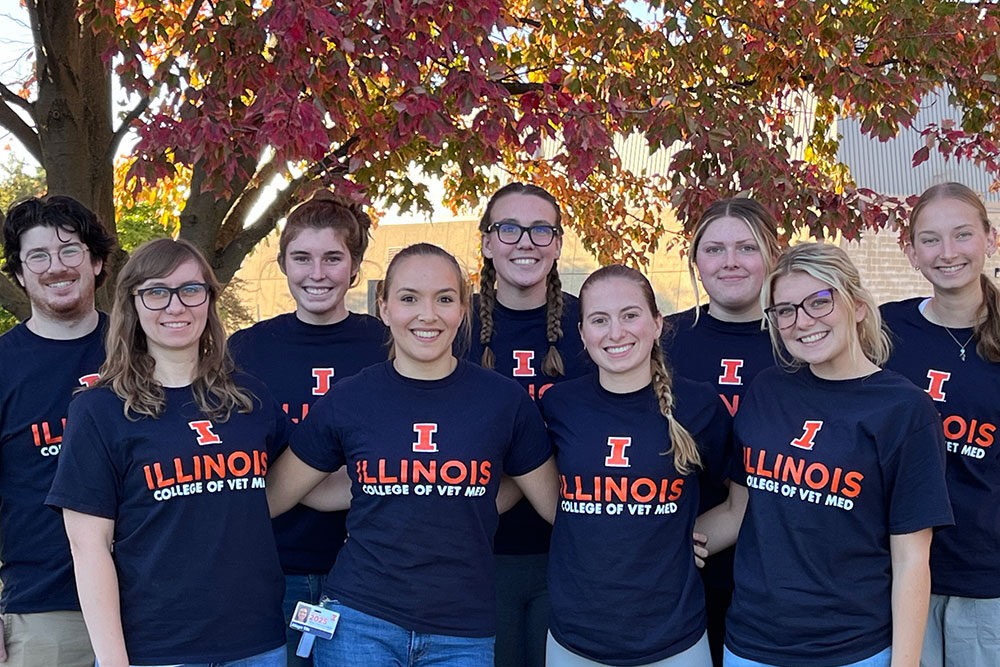 Students dressed in University of Illinois shirts standing together near a red-leafed tree on campus.