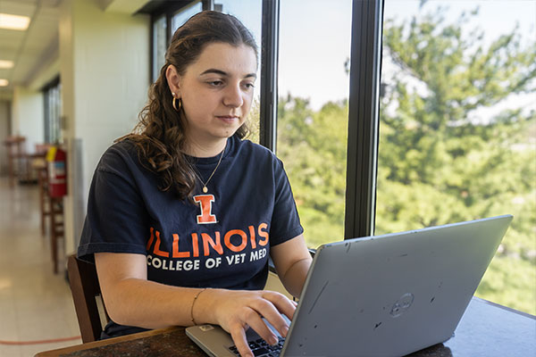Student studying at a computer