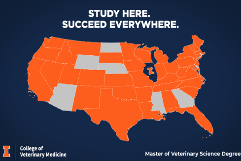 What to Expect from the Online Applied Veterinary Science Capstone?