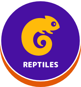 Reptiles - button
