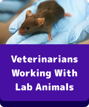 Veterinarians Working with Lab Animals - button