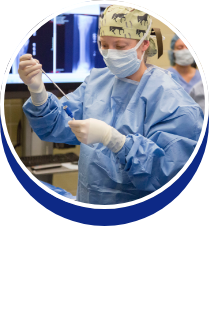 Equine Surgery: Dr. Santiago Gutierrez - button