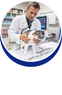 Primary Care: Dr. Justin Fehr - button