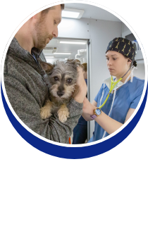 Shelter Medicine: Drs. Loukia Agapis, Olivia Swailes, Valeria Picazo Zamarripa - button