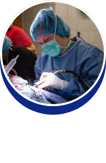 Small Animal Surgery: Dr. Heidi Phillips - button