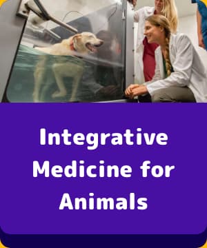 Integrative Medicine for Animals button