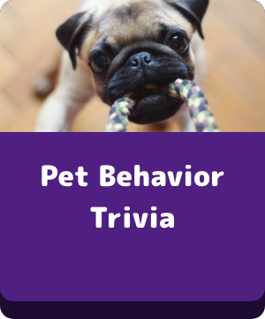 Pet Behavior Trivia button