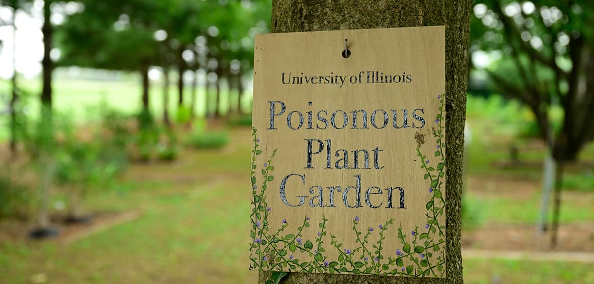 Poisonous Plant Garden sign