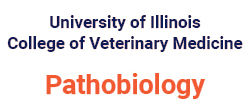 University of Illinois College of Veterinary Medicince Pathobiology
