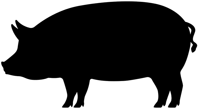 pig Extreme Sports Bike