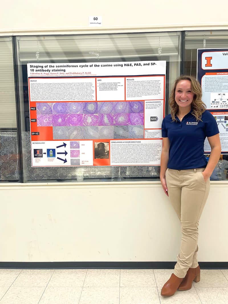 Valentina presenting a poster at the Vet Med Research Day, April 19, 2023.