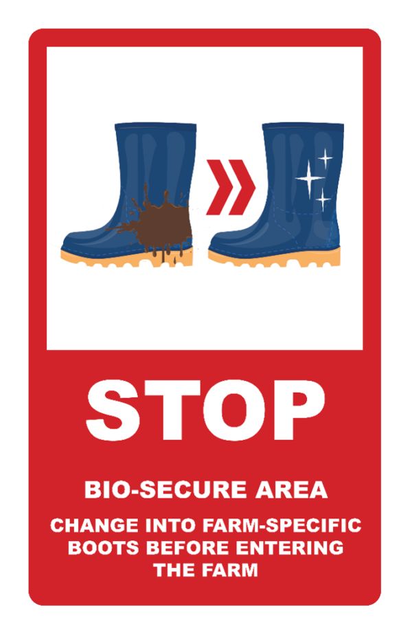 Module 4 – Swine Biosecurity