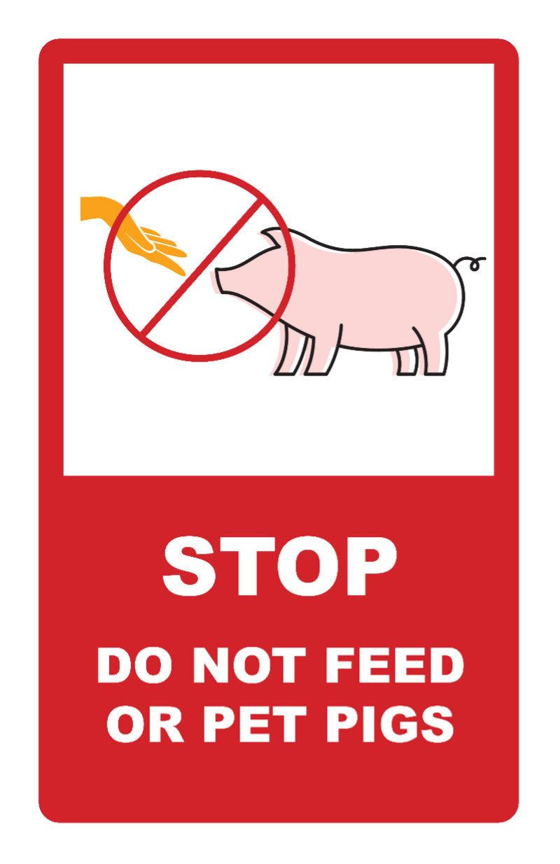 sign example - STOP: Do not Feed or pet pigs