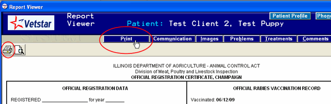 rabies vaccine certificate