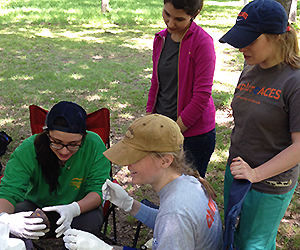 Wildlife Health Training