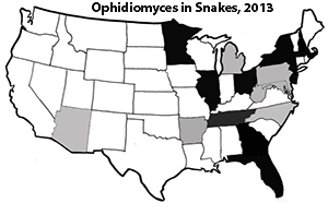 Ophidiomyces found in snakes: location Map of United States