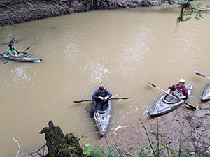 Alligator Snapping Turtle Sampling