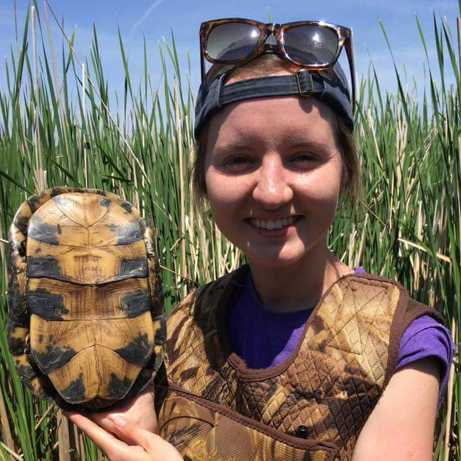 Marta holds a turtle in the field.