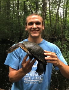 Blanding's Turtle