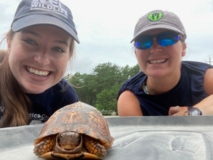 LV NM turtle selfie