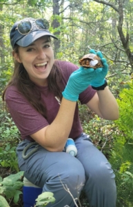 person holding turtle