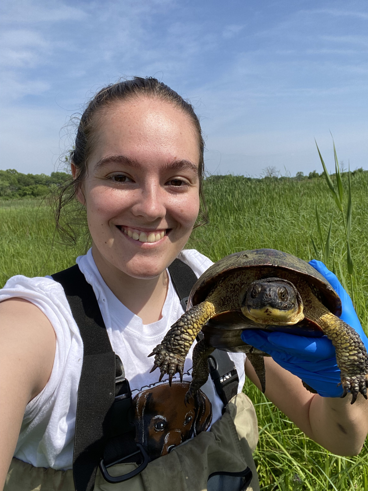 Shrek Took My Phone – Wildlife Epidemiology Laboratory