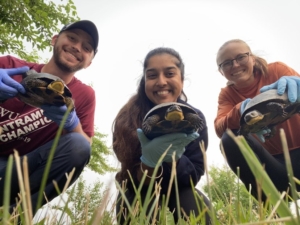 Turtle Doulas At Your Service – Wildlife Epidemiology Laboratory