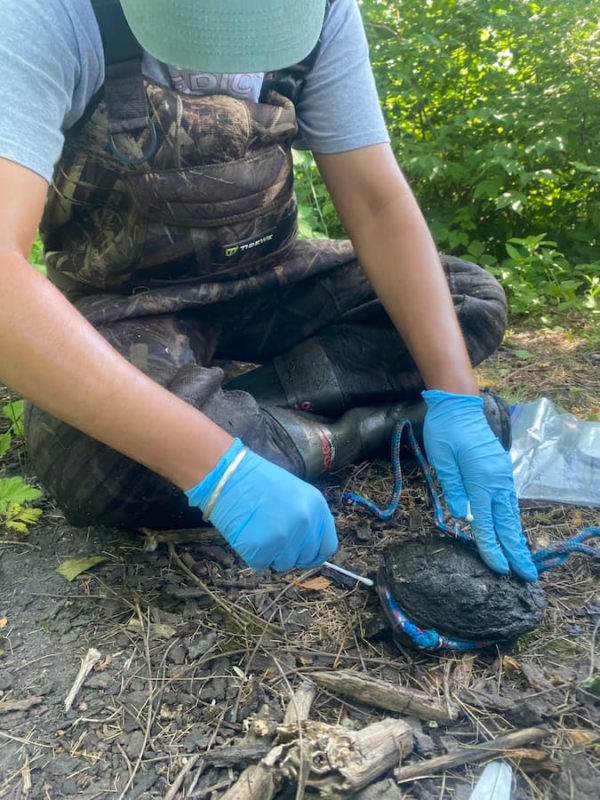 Snaps for Snappers – Wildlife Epidemiology Laboratory