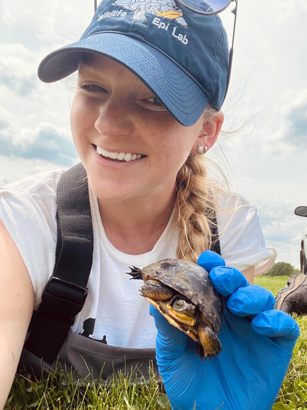 Best Turtle of the Week 5/19-5/25 – Wildlife Epidemiology Laboratory