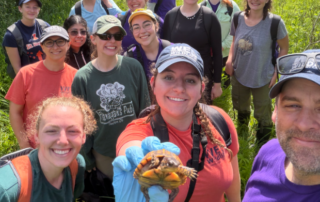 We had such an amazing volunteer group for Box Turtle Team!