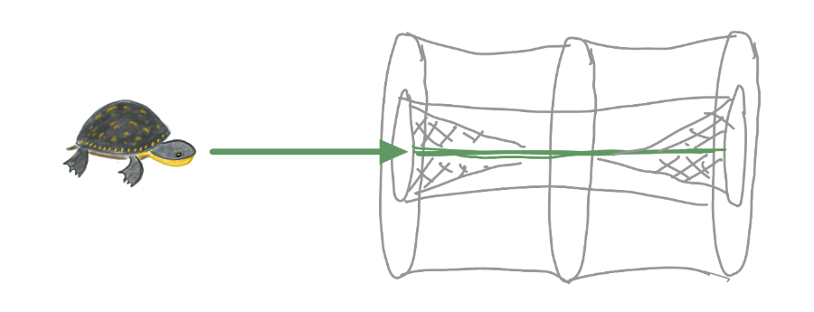 hoop trap diagram