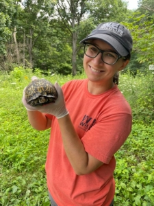 Dr. Adamovicz with box turtle "Meredith".