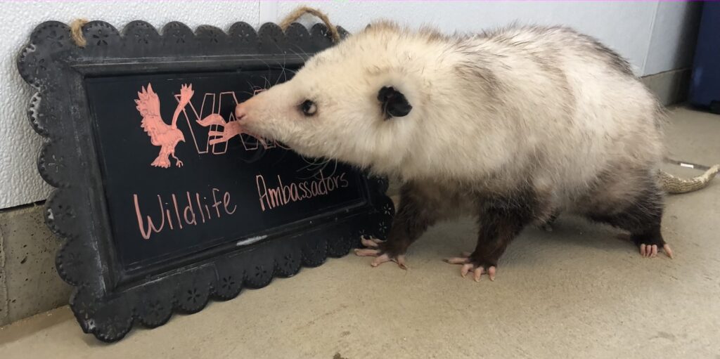 Patty with sign 