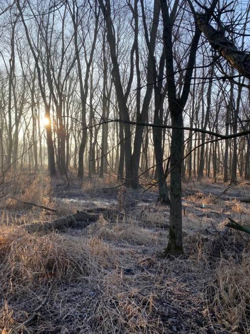 Photo of a birding trip right after sunrise.