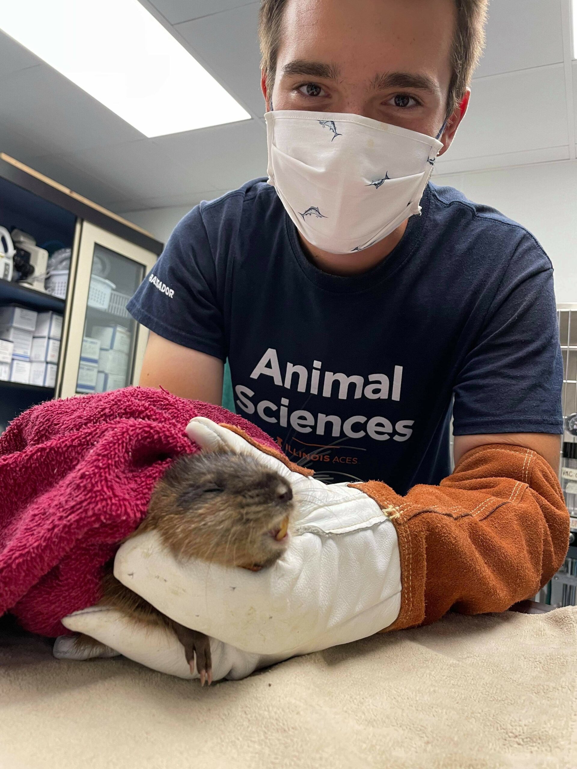 What does the Wildlife Medical Clinic mean to you?