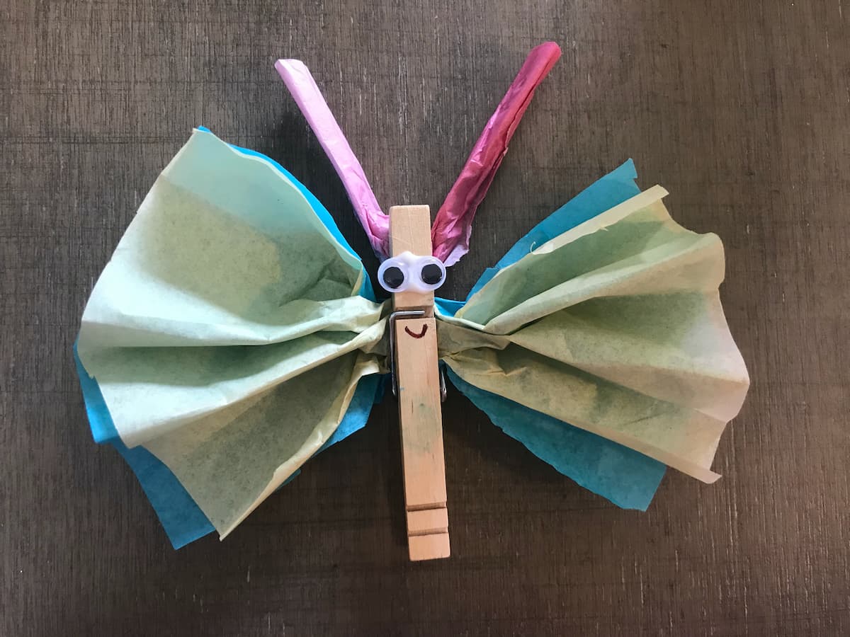 Tissue Paper Butterfly Craft