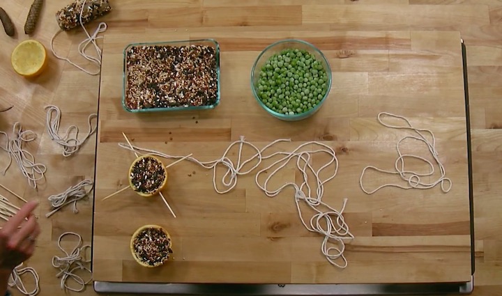 Build Your Own Bird Feeder