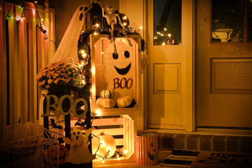 Safe and Spooky: Protecting Local Wildlife While Enjoying the Halloween Season