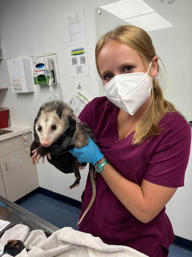 Class of 2024 Wildlife Clinic Memories