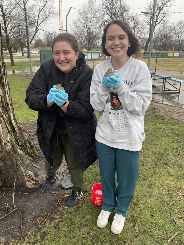 What Happens in the Wildlife Medical Clinic Emergency Room?