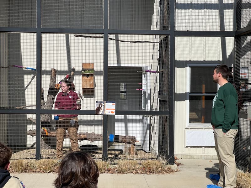Two volunteers talk to a group of people about our ambassador animals. One volunteer has an American Kestrel on the glove in her outdoor enclosure and another student stands out in front of the enclosure. The student in the enclosure is talking to the group.