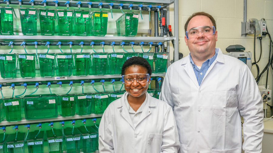 One Simple Trick Makes Zebrafish a Better Model for Microbiome Research