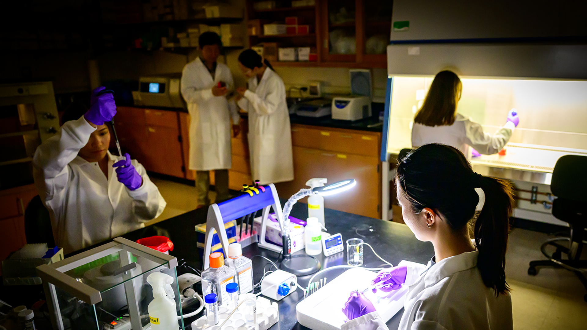 Won lab team members working together in the lab.