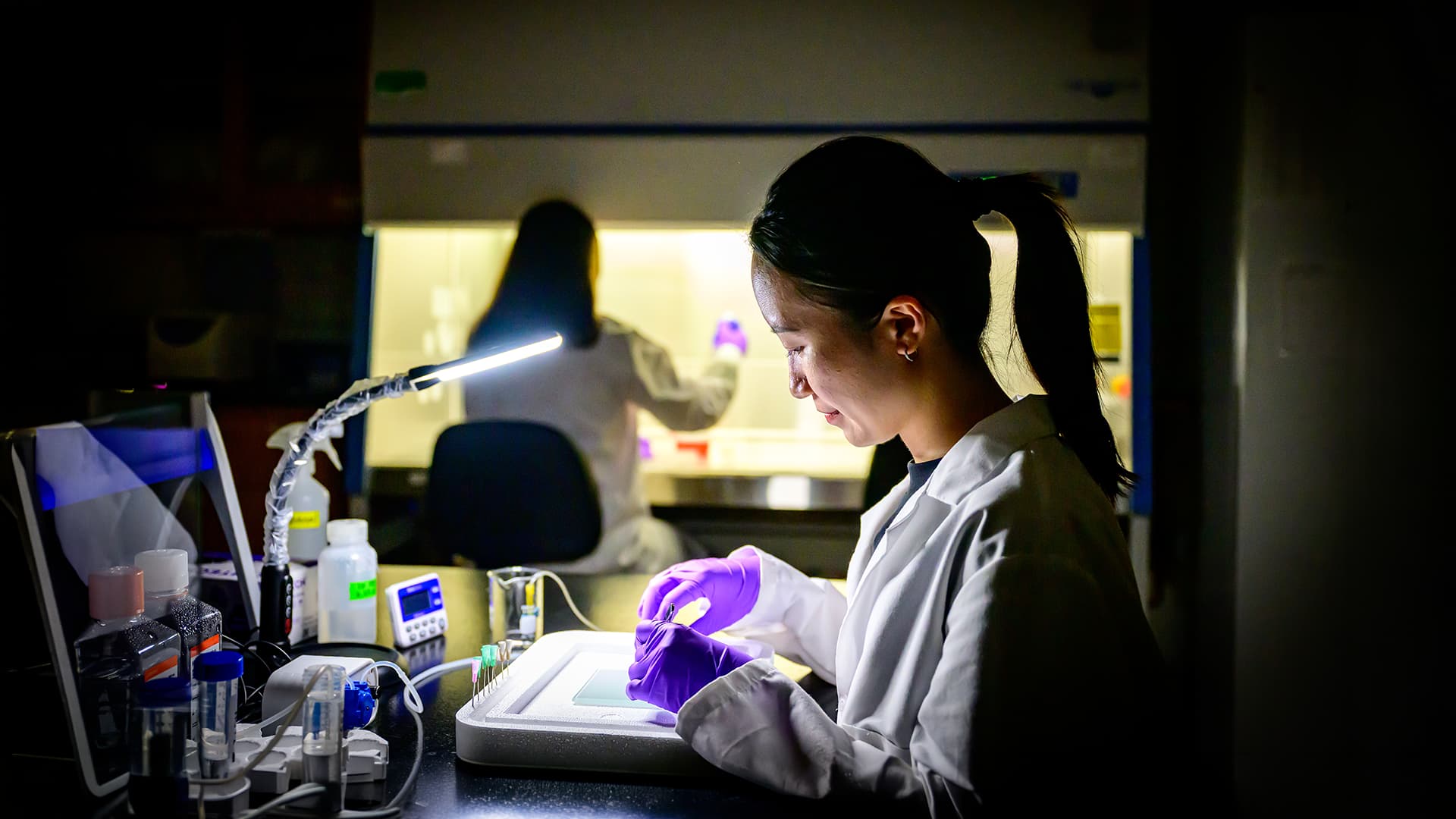 Lab member working at desk