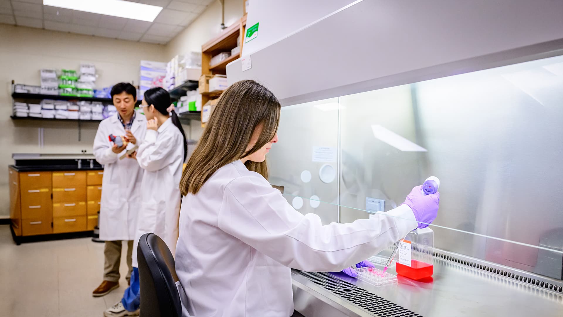 Lab member working at hood