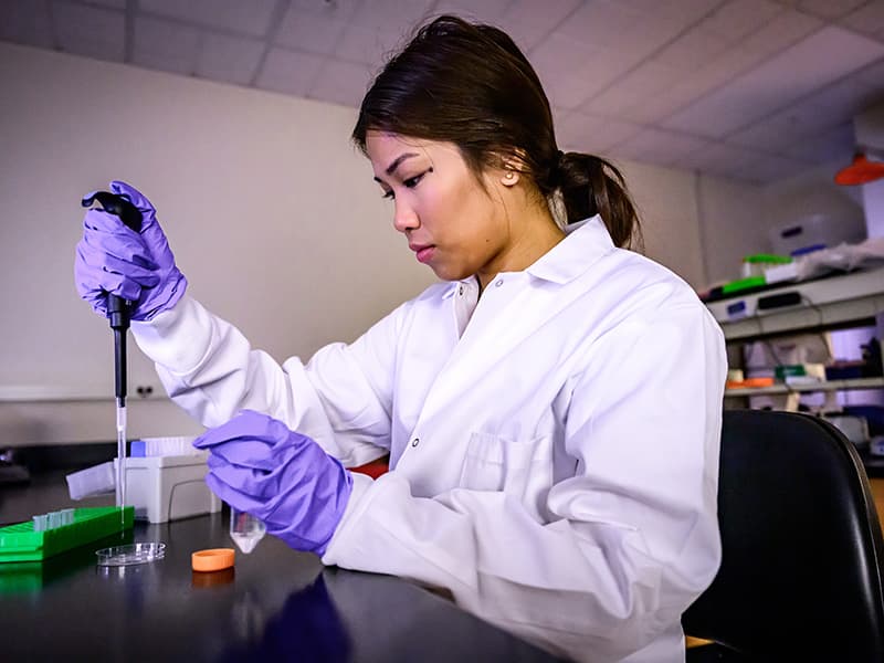 Lab member adding sample to dish